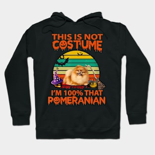 This Is Not Costume Haloween, I'm 100 That Pomeranian Hoodie